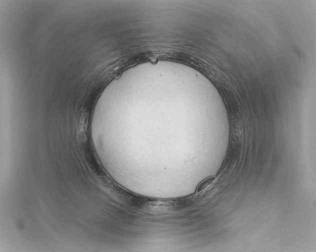 X0000115790082200912041521