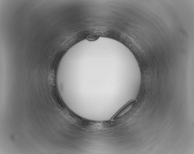 X0000115790083200912041521