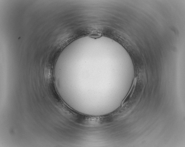 X0000115790084200912041521