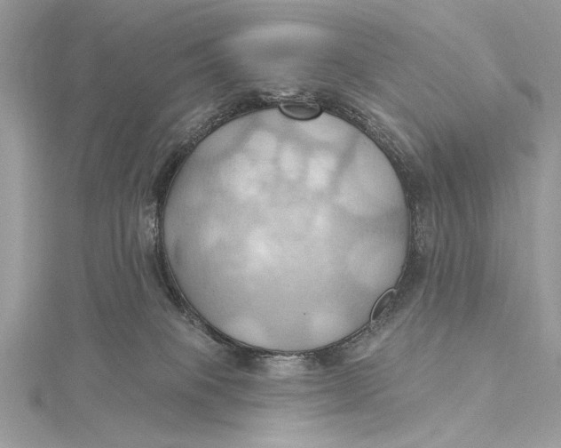 X0000115790085200912041521