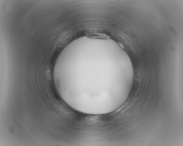 X0000115790086200912041521