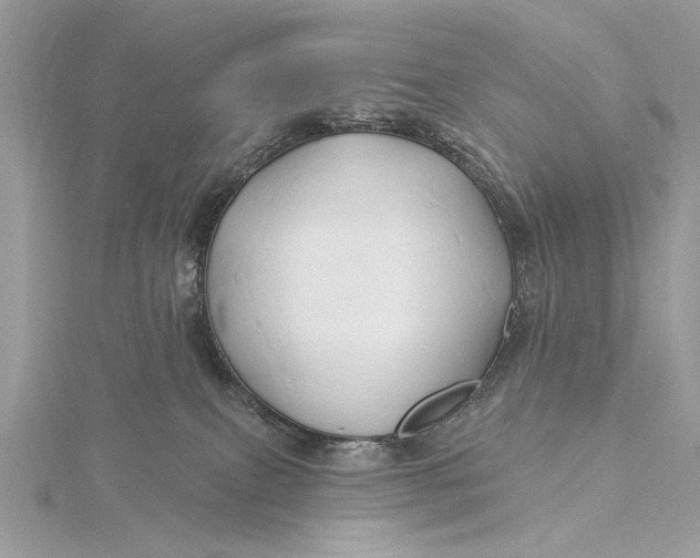 X0000115790087200912041521