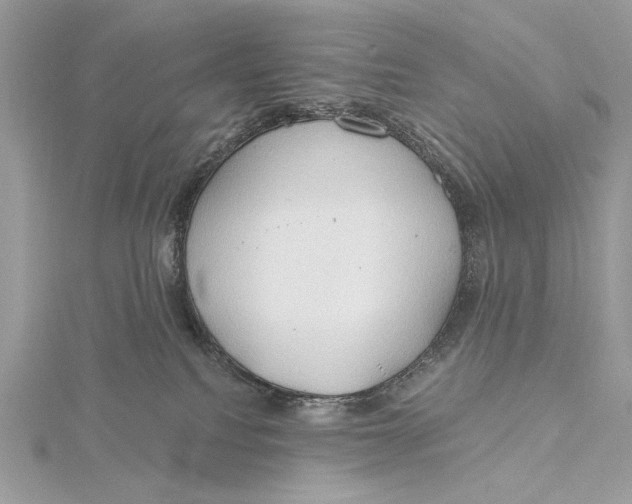 X0000115790088200912041521