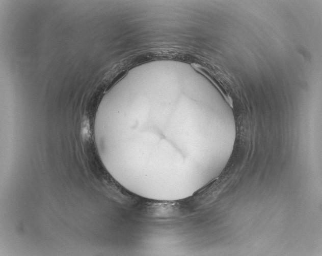 X0000115790089200912041521