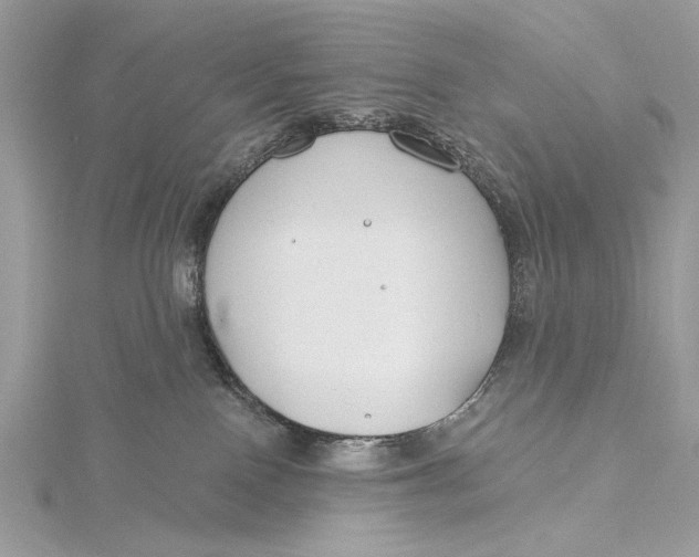 X0000115790090200912041521