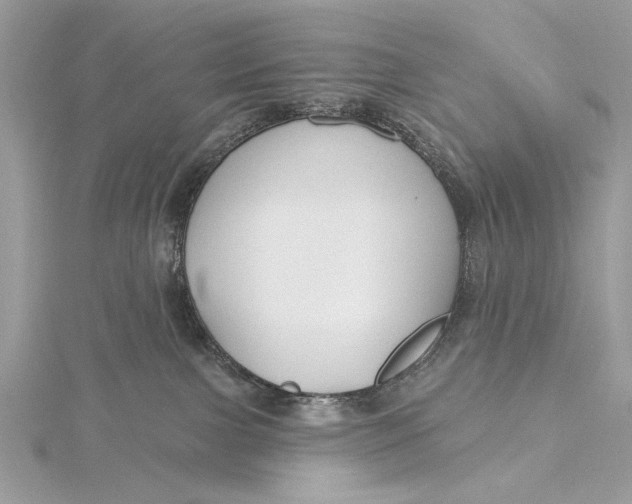 X0000115790091200912041521