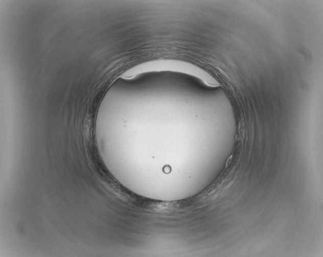 X0000115790092200912041521