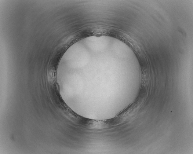 X0000115790093200912041522