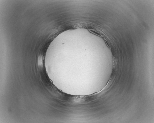 X0000115790094200912041522