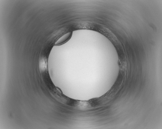 X0000115790095200912041522