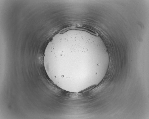 X0000115790096200912041522