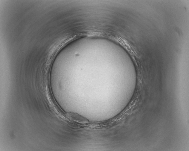 X0000115790097200912041521