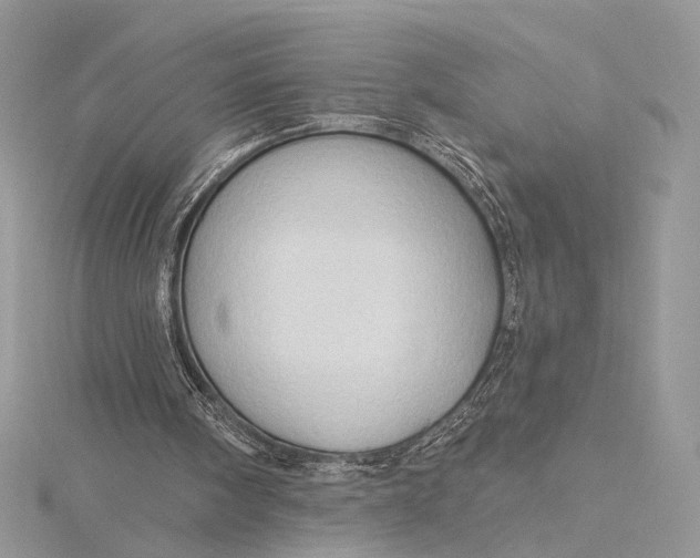 X0000115790098200912041521