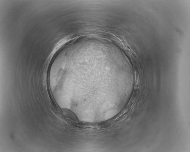 X0000115790099200912041521