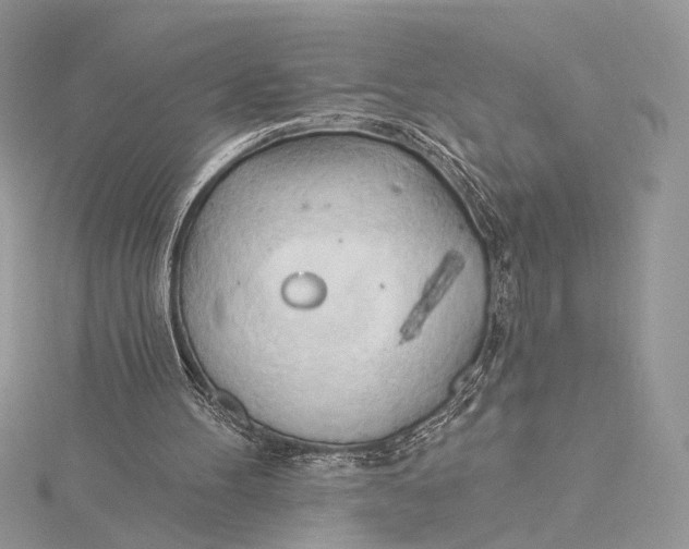 X0000115790100200912041521