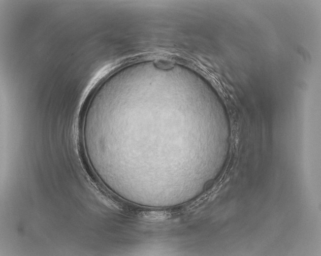 X0000115790102200912041521