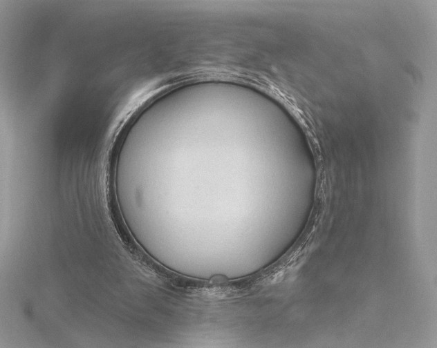 X0000115790103200912041521