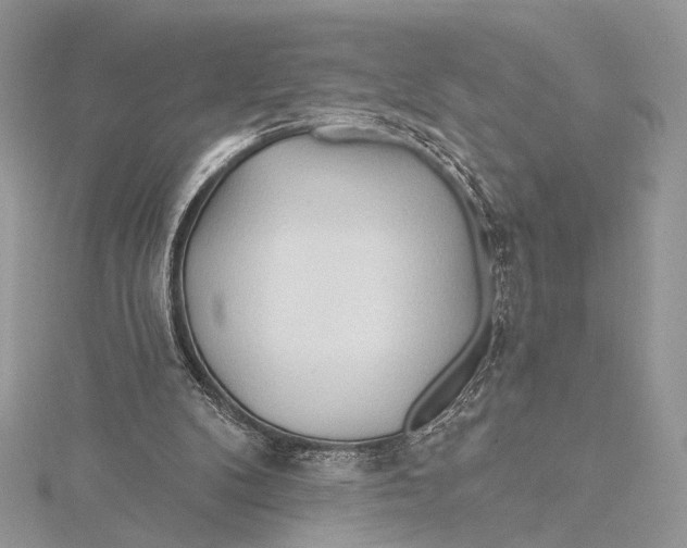 X0000115790104200912041521