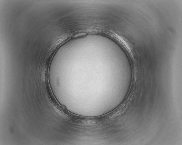 X0000115790105200912041521