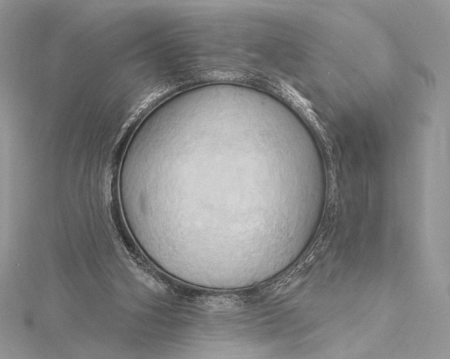 X0000115790106200912041521