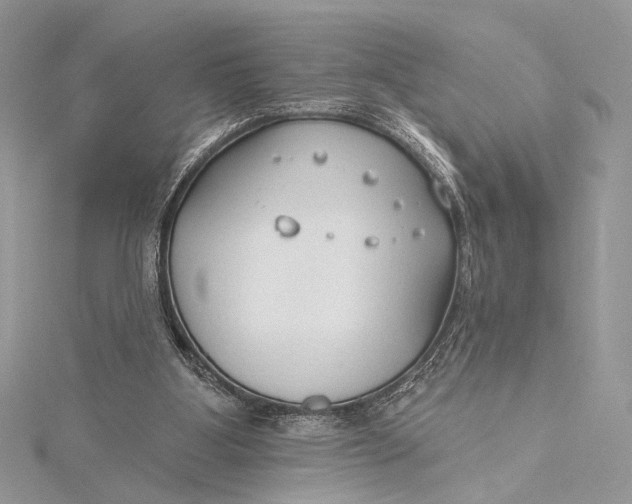 X0000115790107200912041521