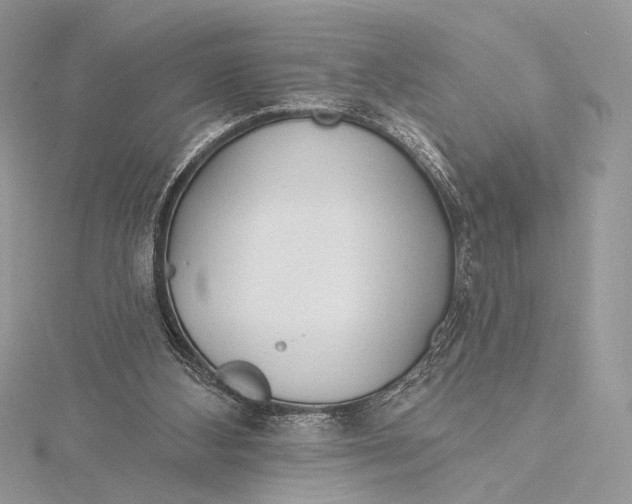 X0000115790108200912041521