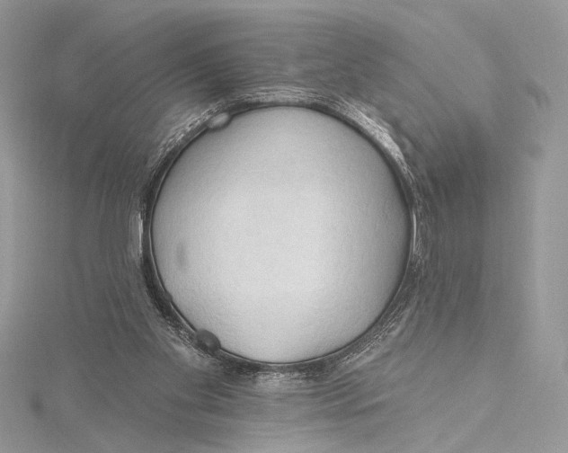 X0000115790109200912041521