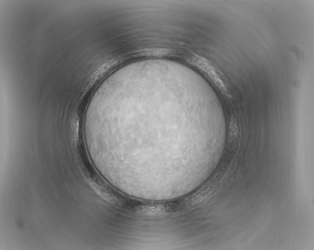 X0000115790110200912041521