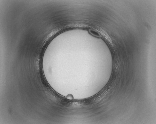 X0000115790111200912041521