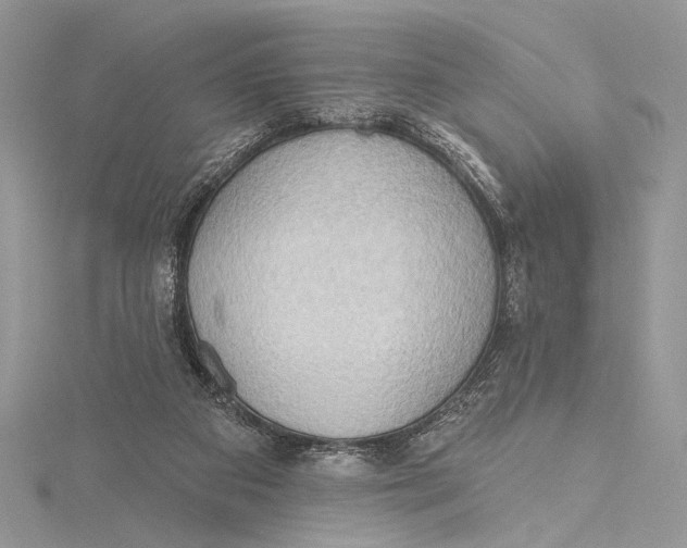 X0000115790113200912041520