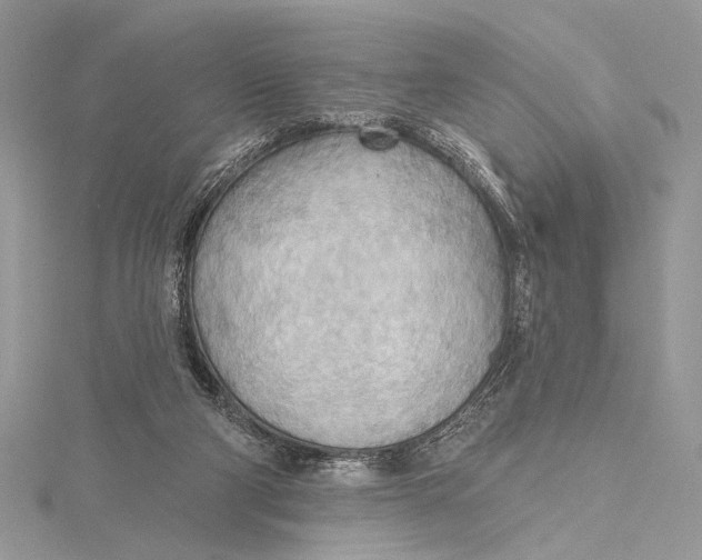 X0000115790114200912041520