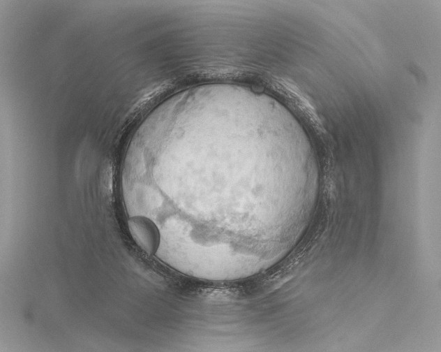 X0000115790115200912041520