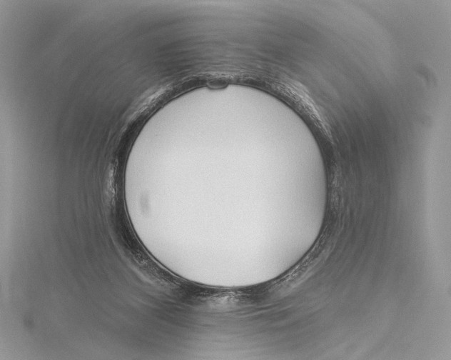 X0000115790116200912041520