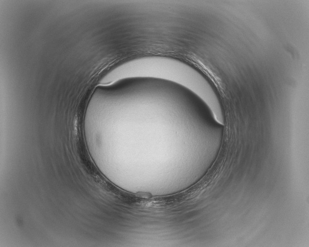 X0000115790117200912041520