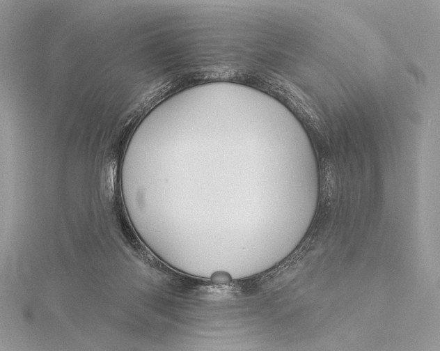 X0000115790118200912041520