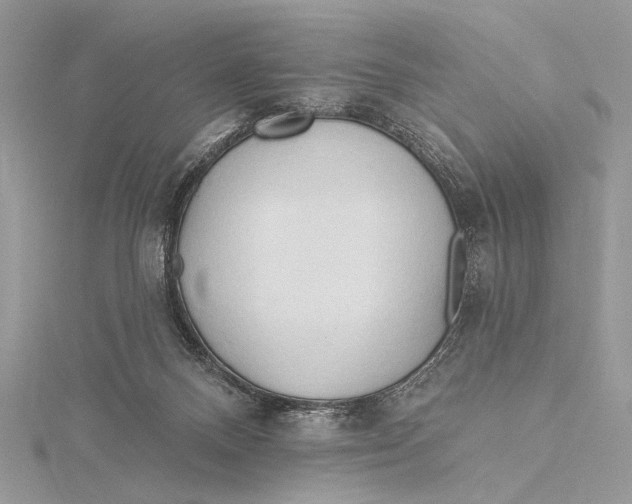 X0000115790120200912041520