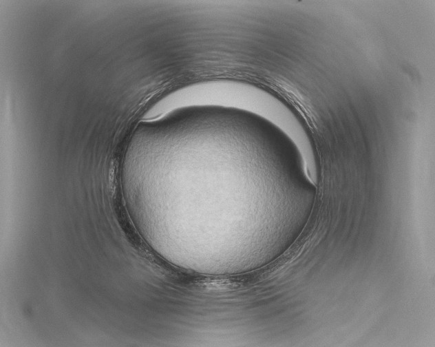 X0000115790121200912041520