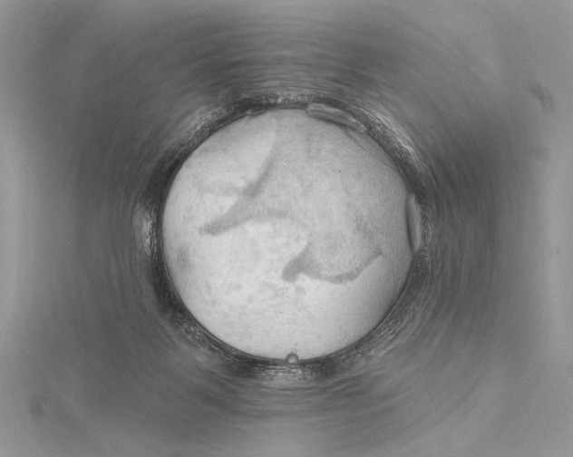 X0000115790123200912041520