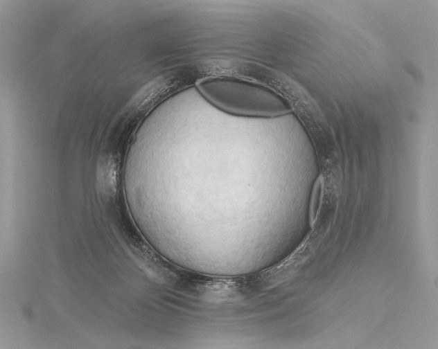 X0000115790124200912041520