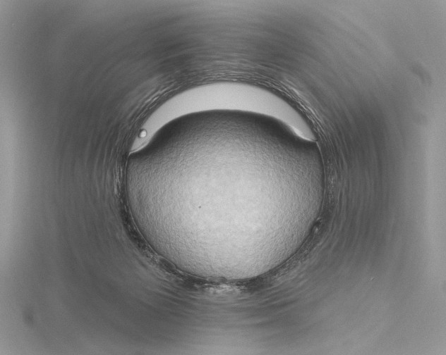 X0000115790125200912041520