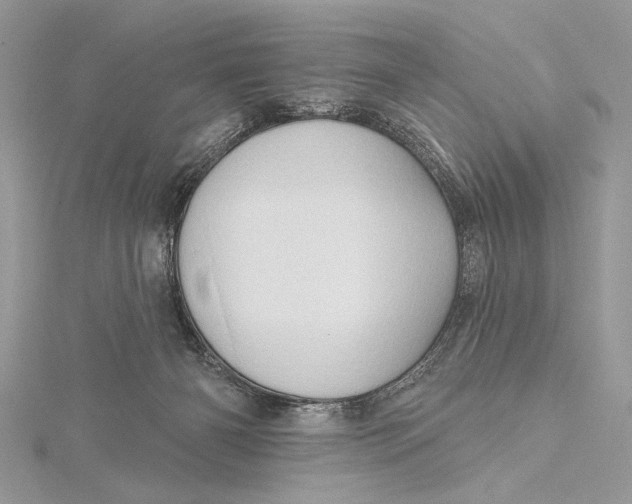 X0000115790126200912041520