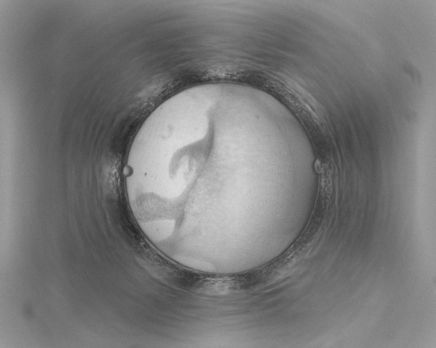 X0000115790127200912041520