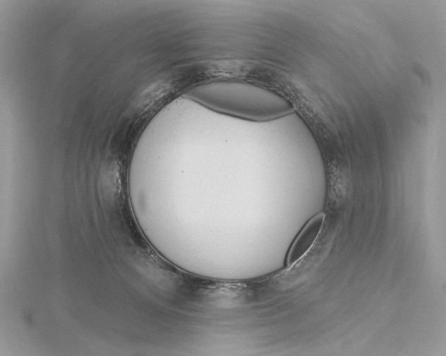 X0000115790128200912041520