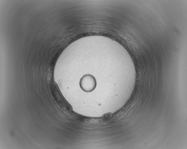 X0000115790129200912041520