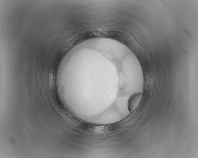 X0000115790130200912041520