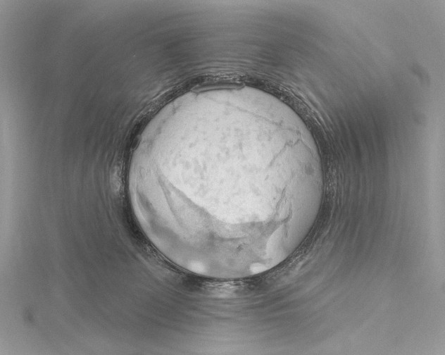 X0000115790131200912041520