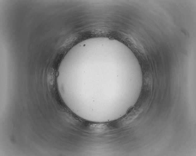 X0000115790133200912041520