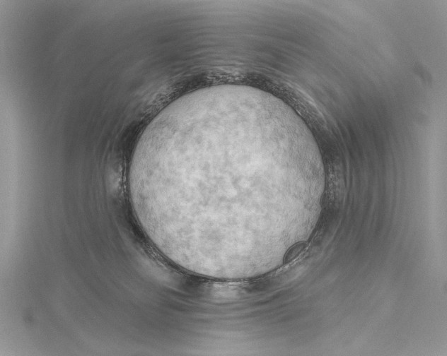 X0000115790134200912041520