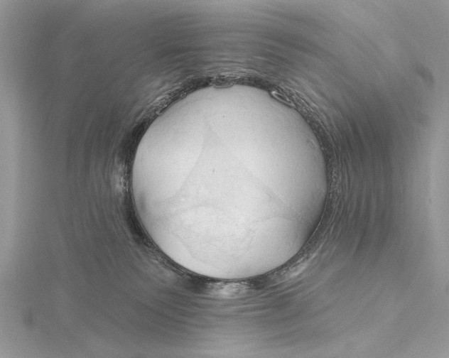 X0000115790135200912041520