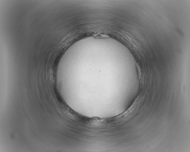 X0000115790136200912041520